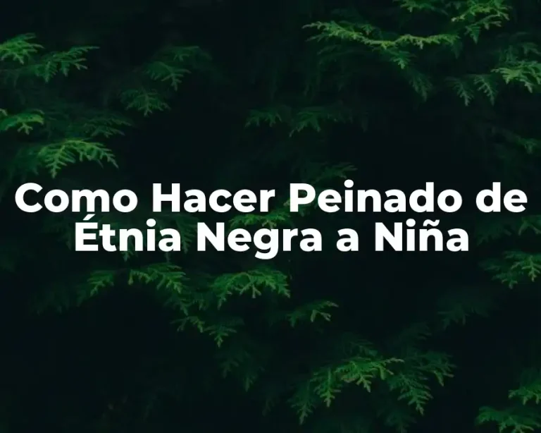 Como Hacer Peinado de Étnia Negra a Niña