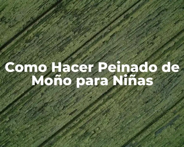 Como Hacer Peinado de Moño para Niñas