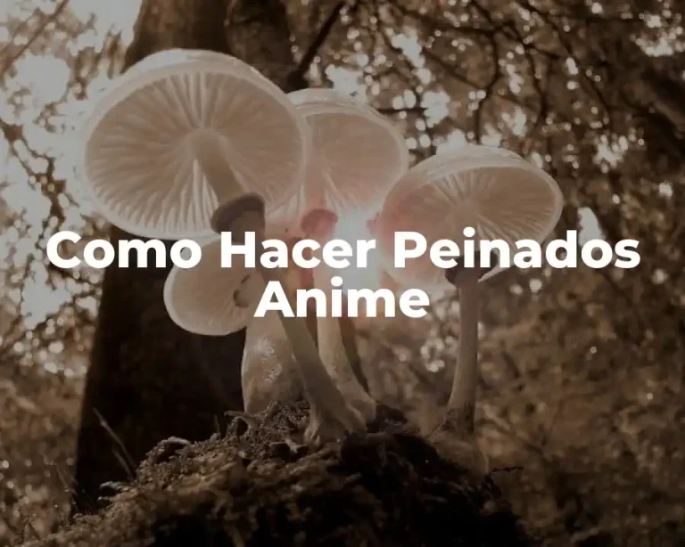 Como Hacer Peinados Anime
