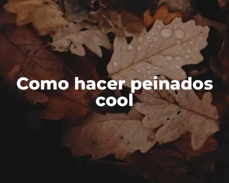 Como hacer peinados cool
