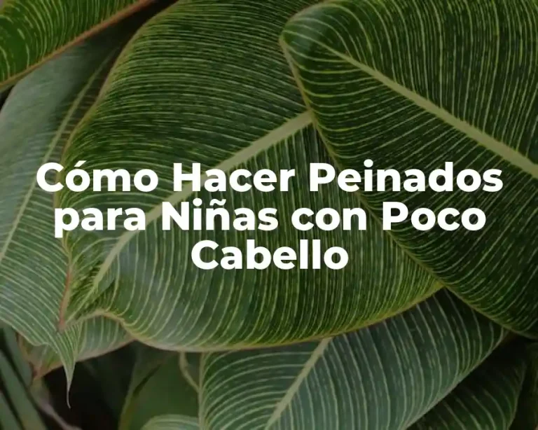 Cómo Hacer Peinados para Niñas con Poco Cabello