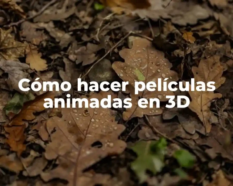 Cómo hacer películas animadas en 3D