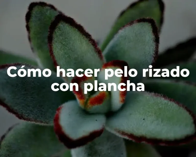 Cómo hacer pelo rizado con plancha