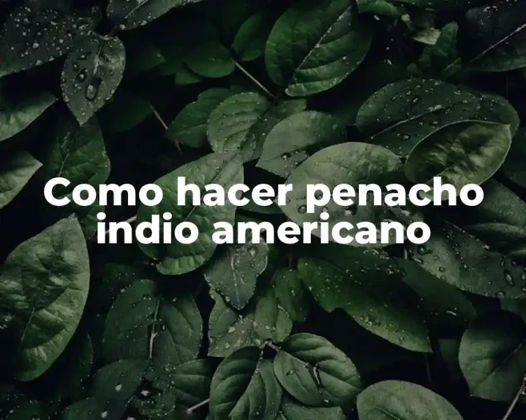Como hacer penacho indio americano