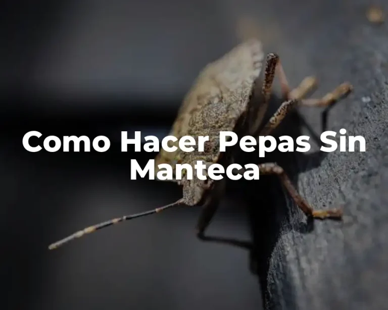 Como Hacer Pepas Sin Manteca