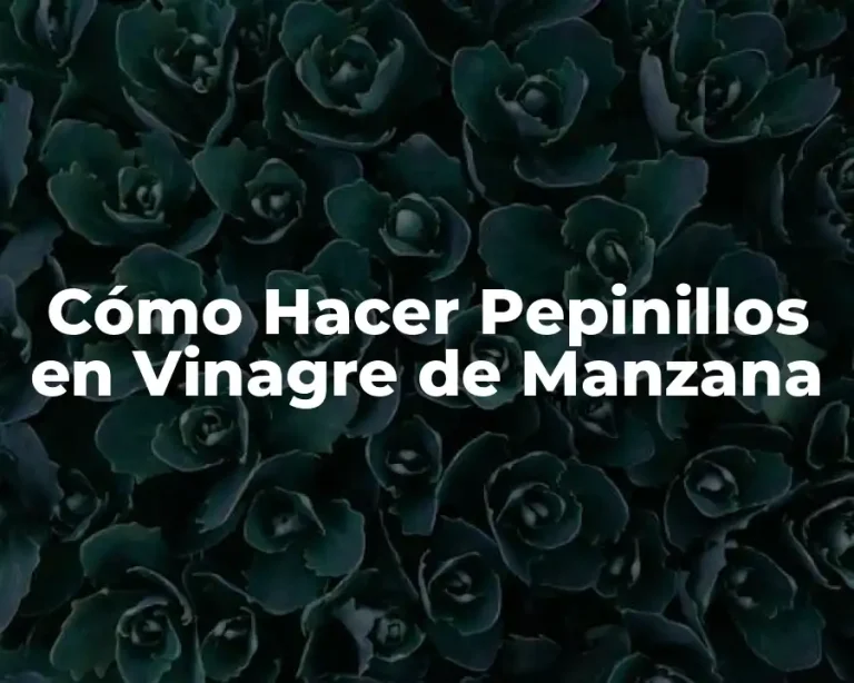 Cómo Hacer Pepinillos en Vinagre de Manzana