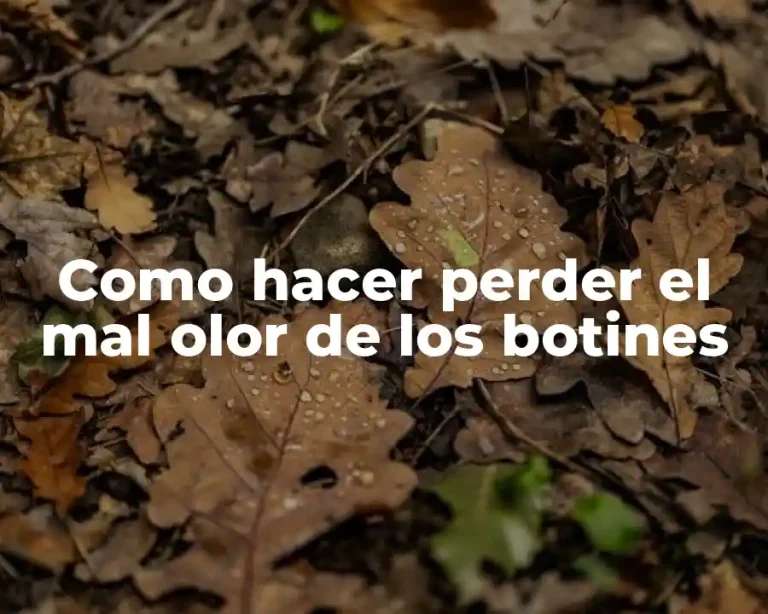 Como hacer perder el mal olor de los botines