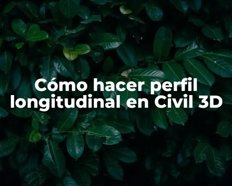 Cómo hacer perfil longitudinal en Civil 3D