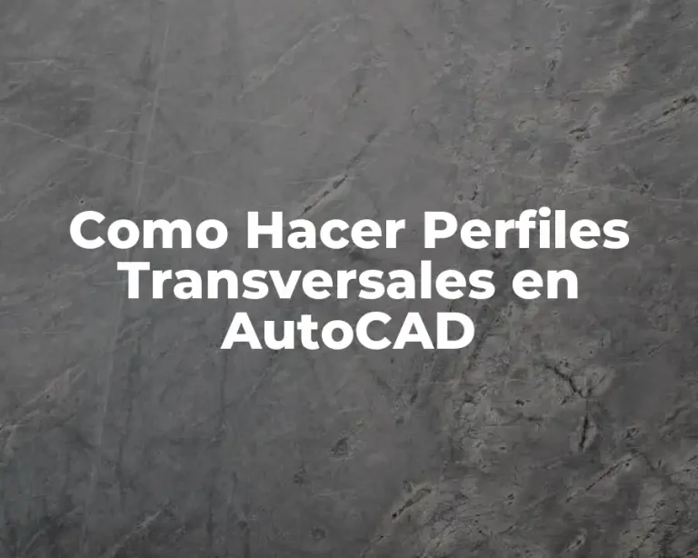Como Hacer Perfiles Transversales en AutoCAD