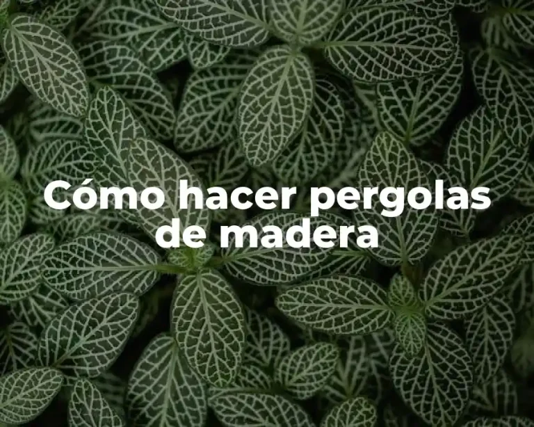 Cómo hacer pergolas de madera