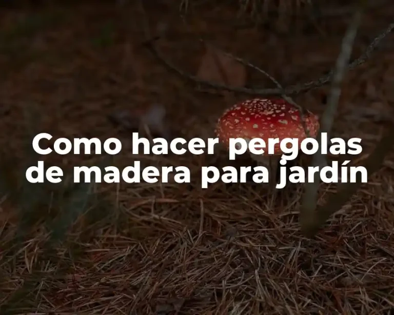 Como hacer pergolas de madera para jardín