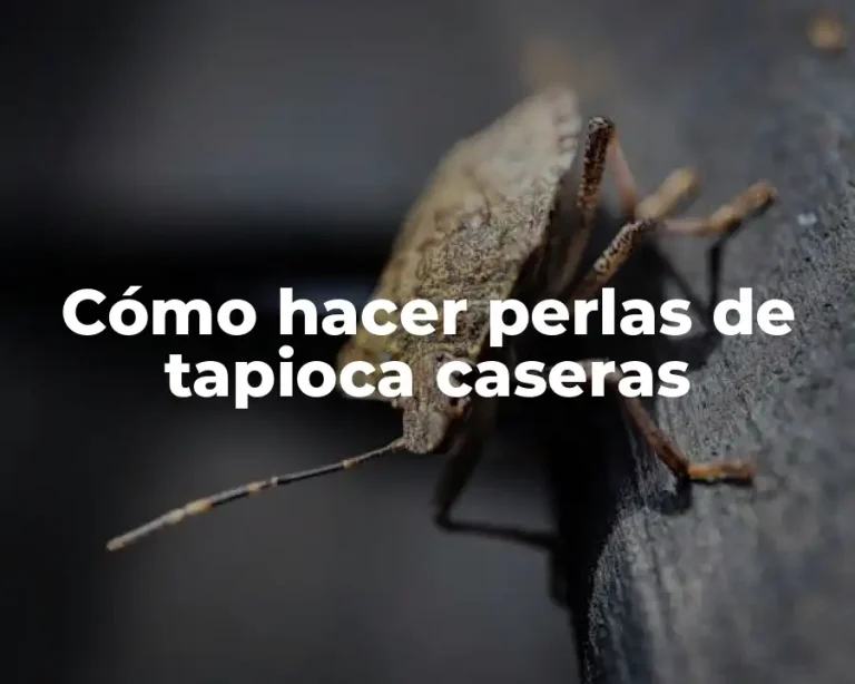 Cómo hacer perlas de tapioca caseras