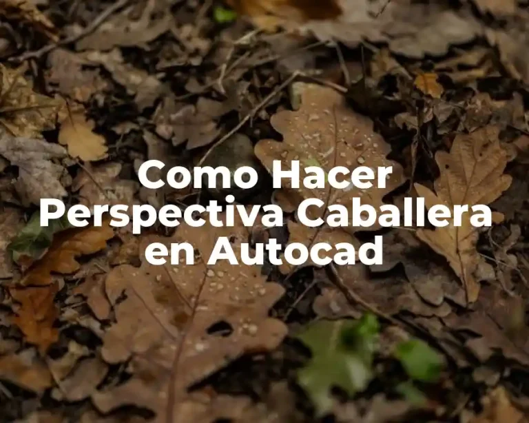 Como Hacer Perspectiva Caballera en Autocad