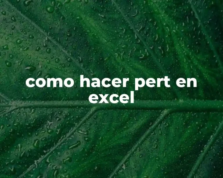 como hacer pert en excel