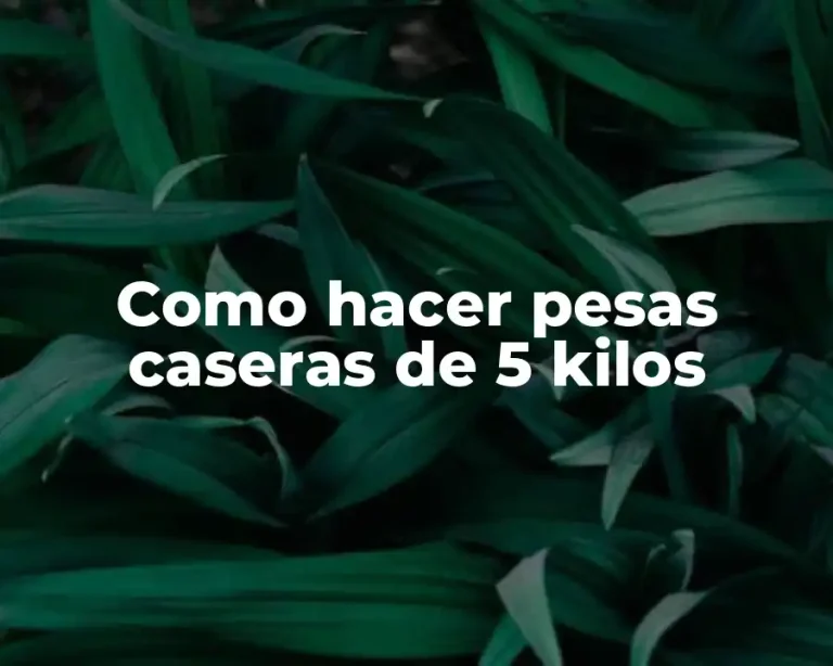 Como hacer pesas caseras de 5 kilos