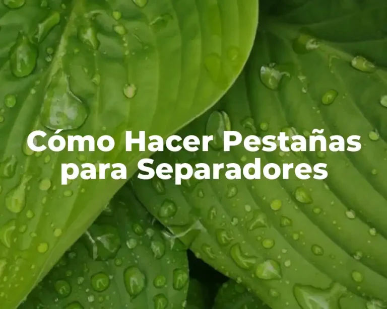 Cómo Hacer Pestañas para Separadores