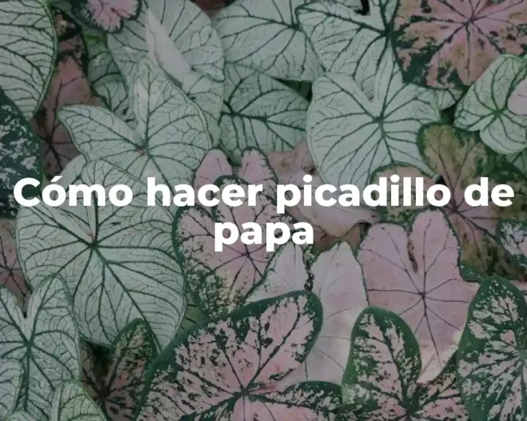 Cómo hacer picadillo de papa