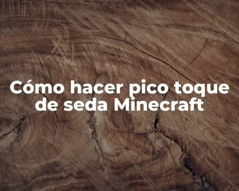 Cómo hacer pico toque de seda Minecraft