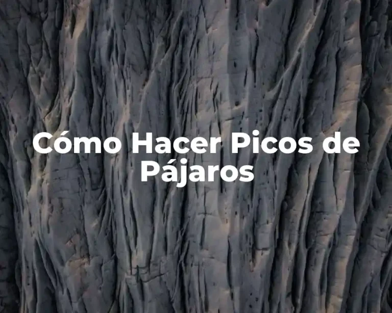 Cómo Hacer Picos de Pájaros