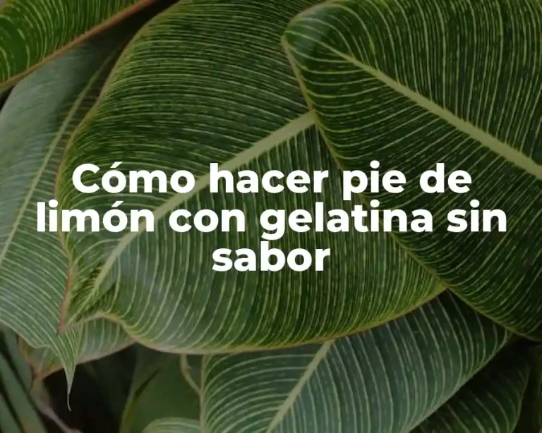 Cómo hacer pie de limón con gelatina sin sabor