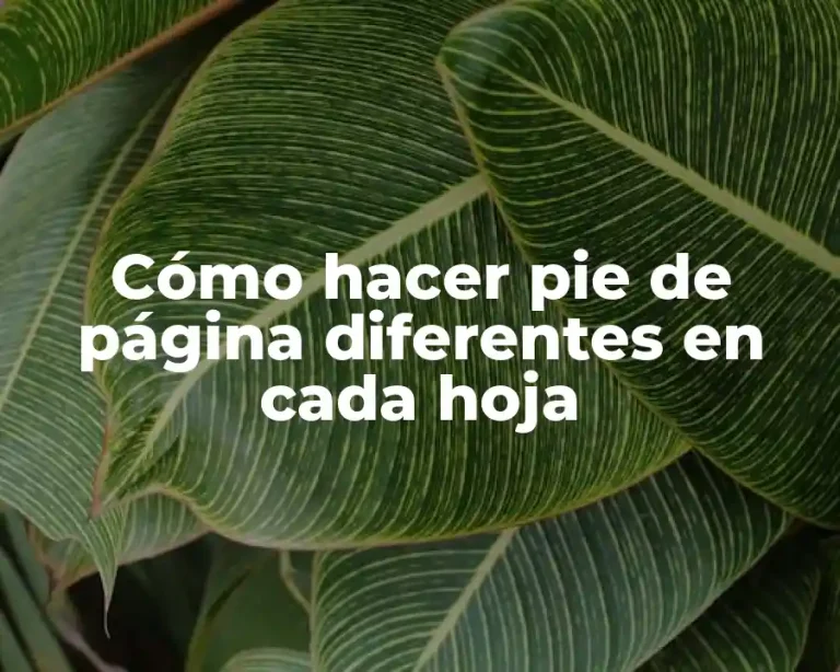Cómo hacer pie de página diferentes en cada hoja