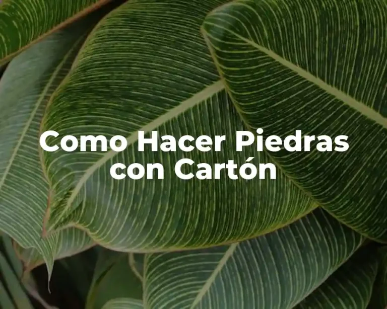 Como Hacer Piedras con Cartón