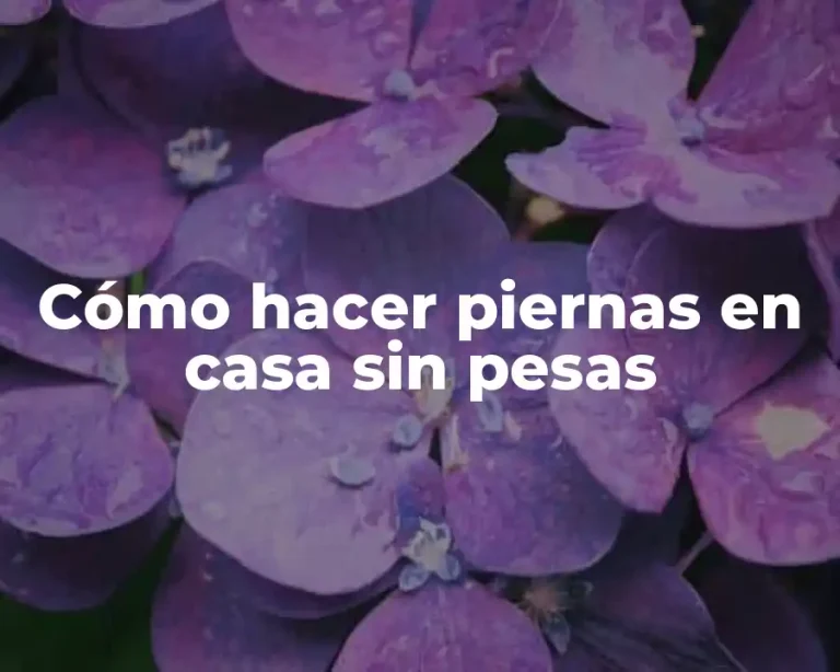 Cómo hacer piernas en casa sin pesas