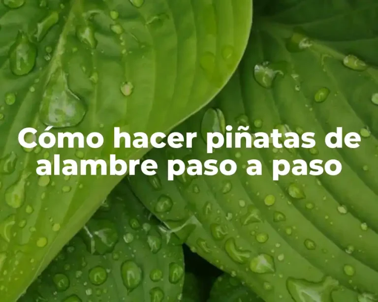 Cómo hacer piñatas de alambre paso a paso