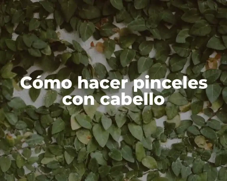 Cómo hacer pinceles con cabello