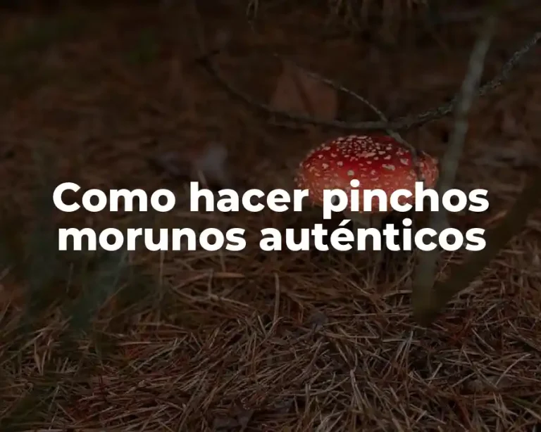 Como hacer pinchos morunos auténticos