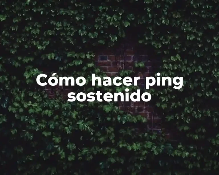 Cómo hacer ping sostenido