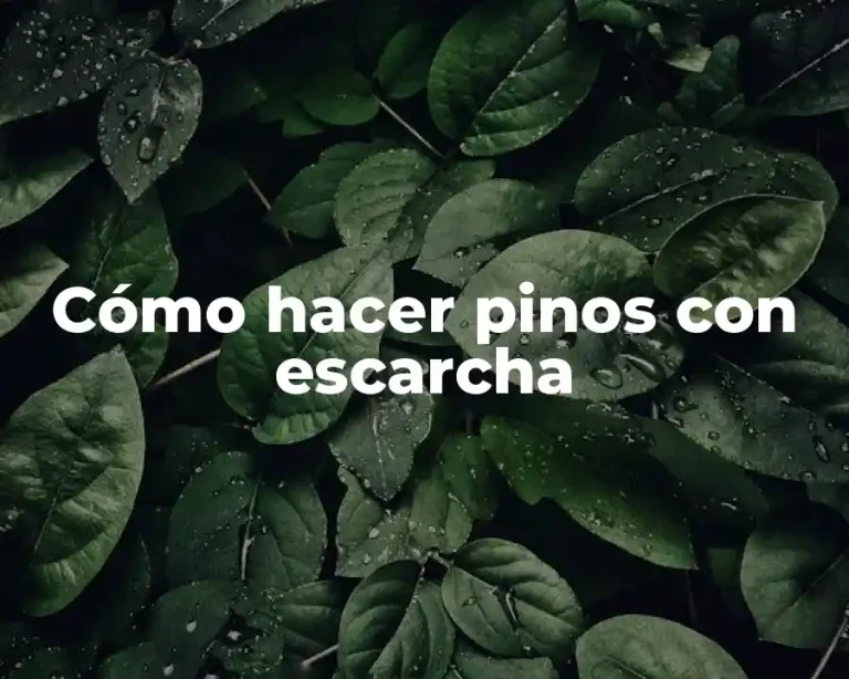 Cómo hacer pinos con escarcha