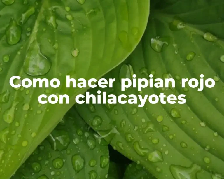 Como hacer pipian rojo con chilacayotes