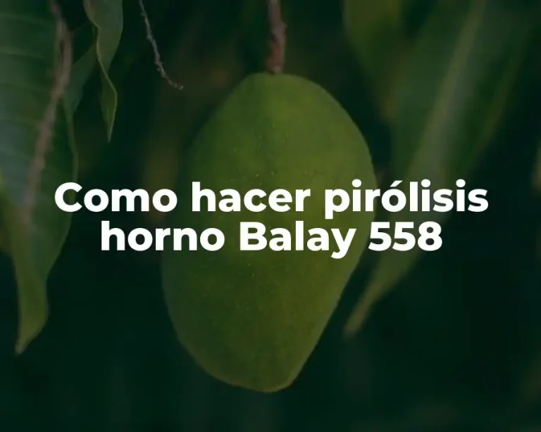 Como hacer pirólisis horno Balay 558