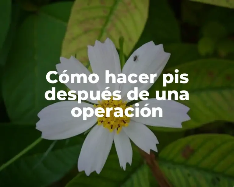 Cómo hacer pis después de una operación