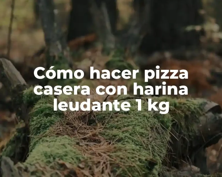 Cómo hacer pizza casera con harina leudante 1 kg