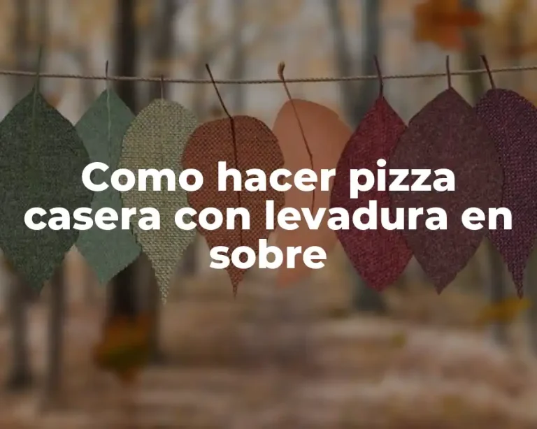 Como hacer pizza casera con levadura en sobre