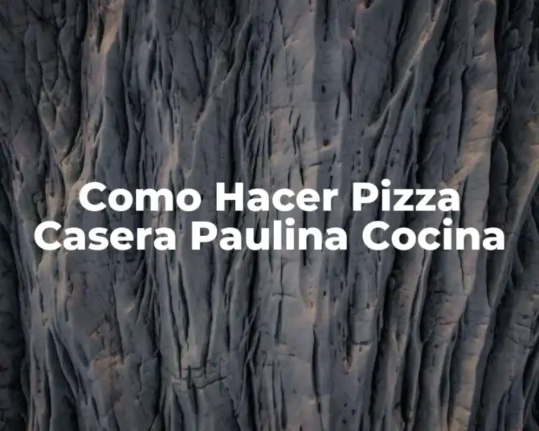 Como Hacer Pizza Casera Paulina Cocina