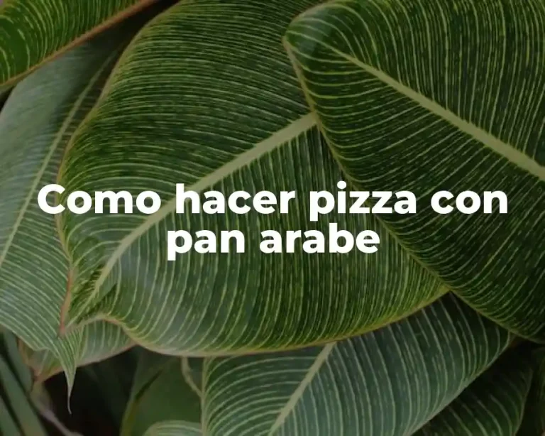 Como hacer pizza con pan arabe