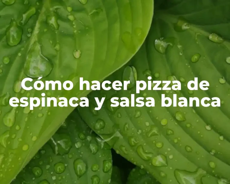 Cómo hacer pizza de espinaca y salsa blanca