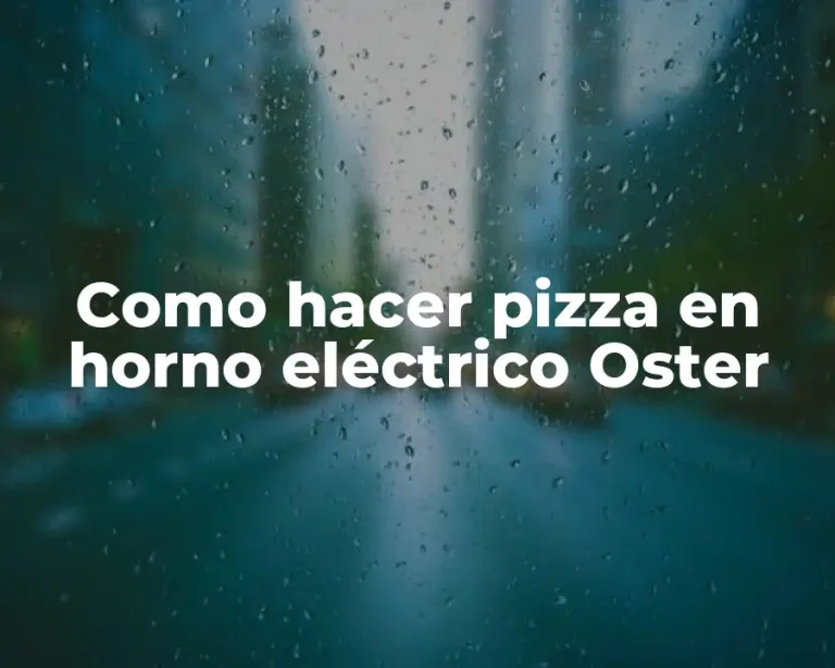 Como hacer pizza en horno eléctrico Oster