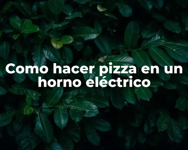 Como hacer pizza en un horno eléctrico