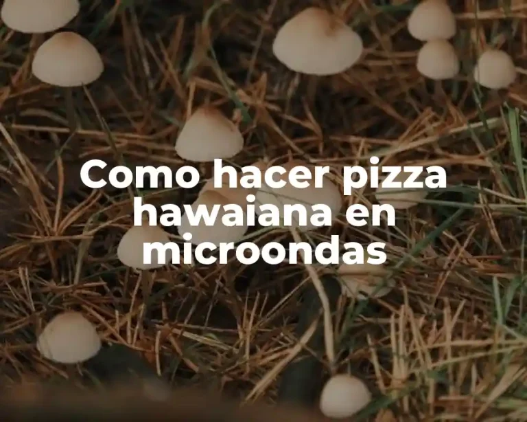 Como hacer pizza hawaiana en microondas