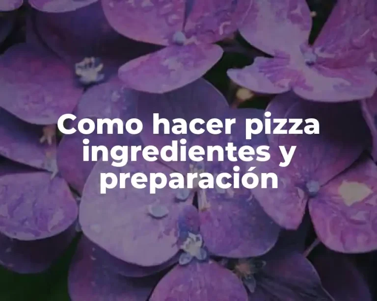 Como hacer pizza ingredientes y preparación