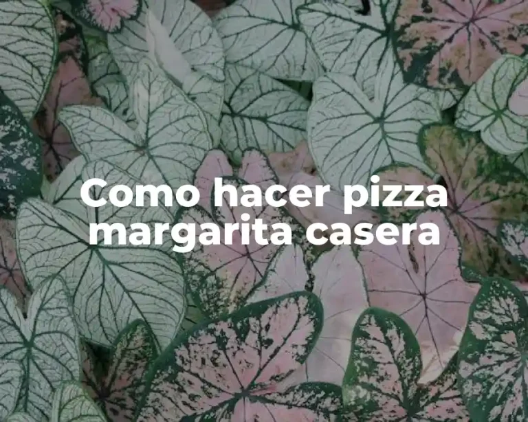 Como hacer pizza margarita casera