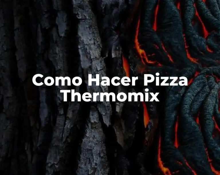 Como Hacer Pizza Thermomix