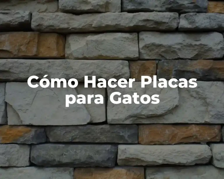 Cómo Hacer Placas para Gatos
