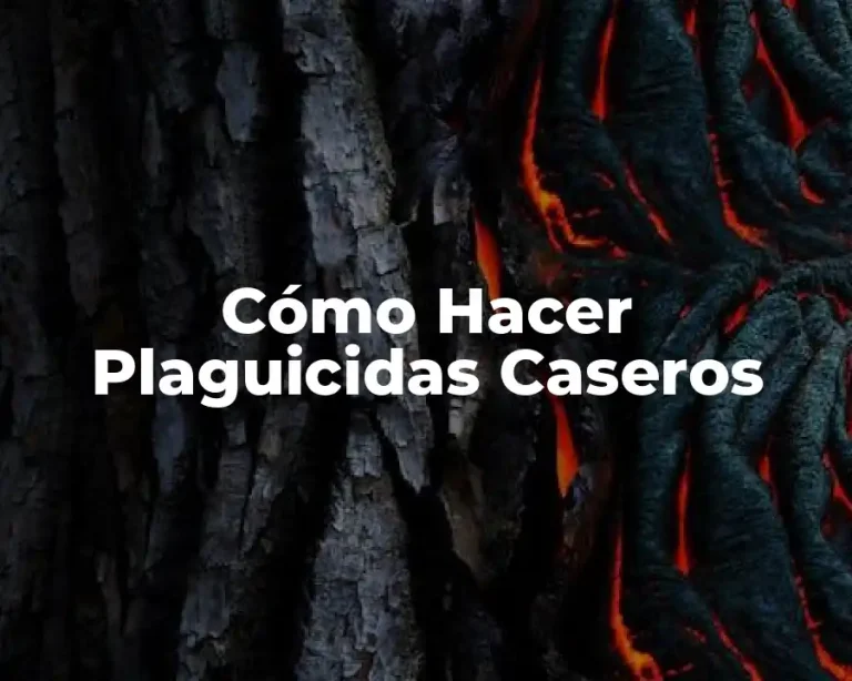 Cómo Hacer Plaguicidas Caseros