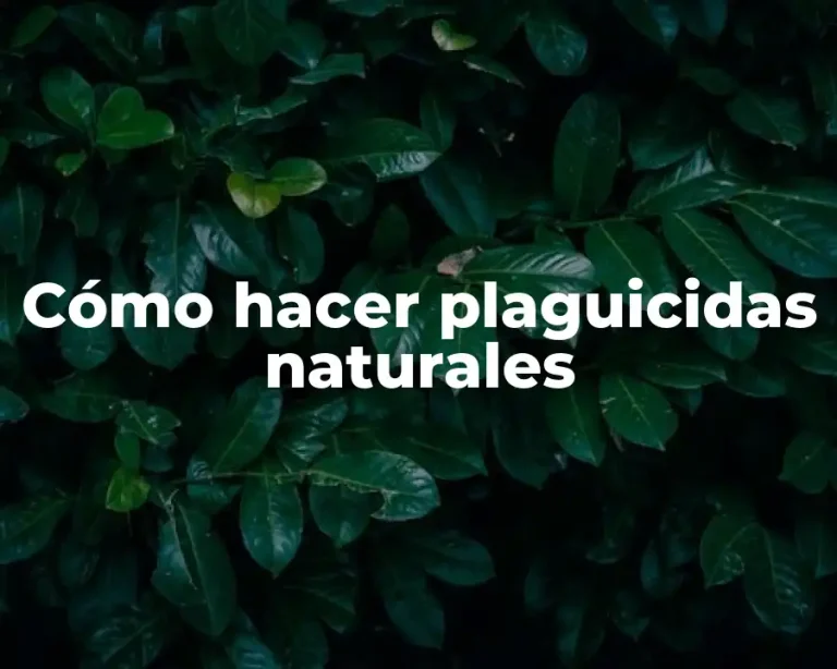 Cómo hacer plaguicidas naturales