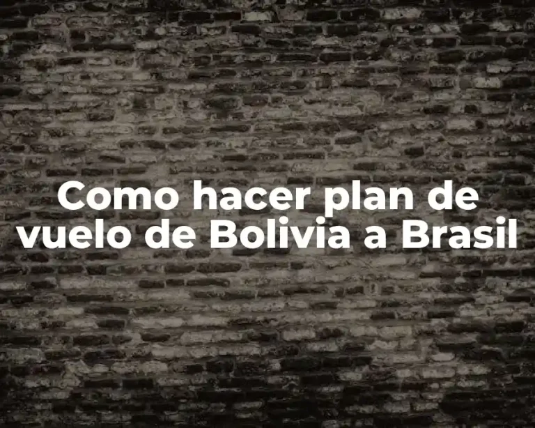 Como hacer plan de vuelo de Bolivia a Brasil